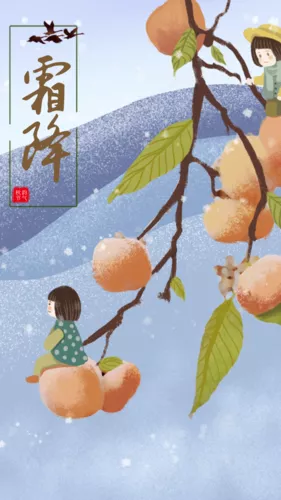 插画风24节气霜降手机海报