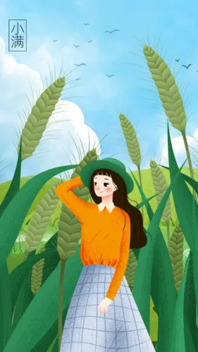 扁平风24节气小满手机海报