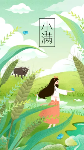 扁平风24节气小满手机海报