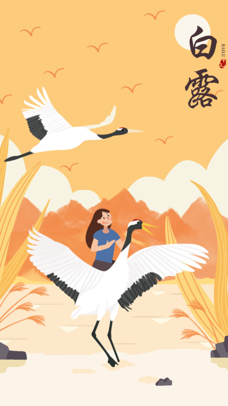 插画风24节气白露手机海报