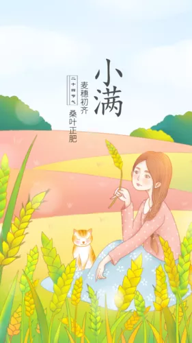 插画风24节气小满手机海报