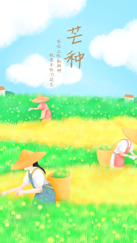 扁平风24节气芒种手机海报