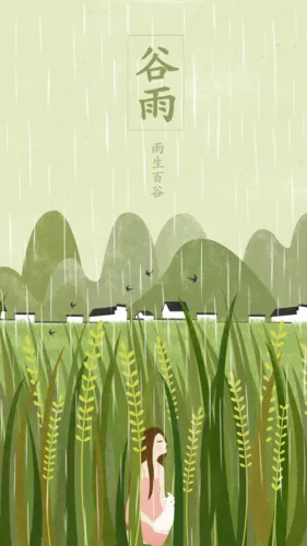 插画风24节气谷雨手机海报