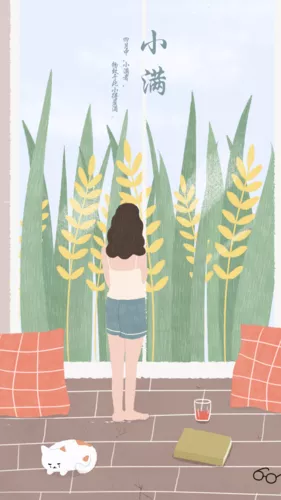 清新插画风24节气小满手机海报